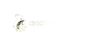 Chicken Road
